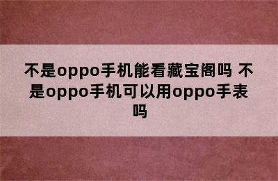 不是oppo手机能看藏宝阁吗 不是oppo手机可以用oppo手表吗